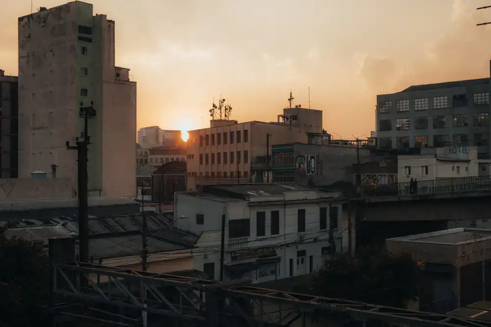 Sunlit rooftop apiaries with urban skyline in the background